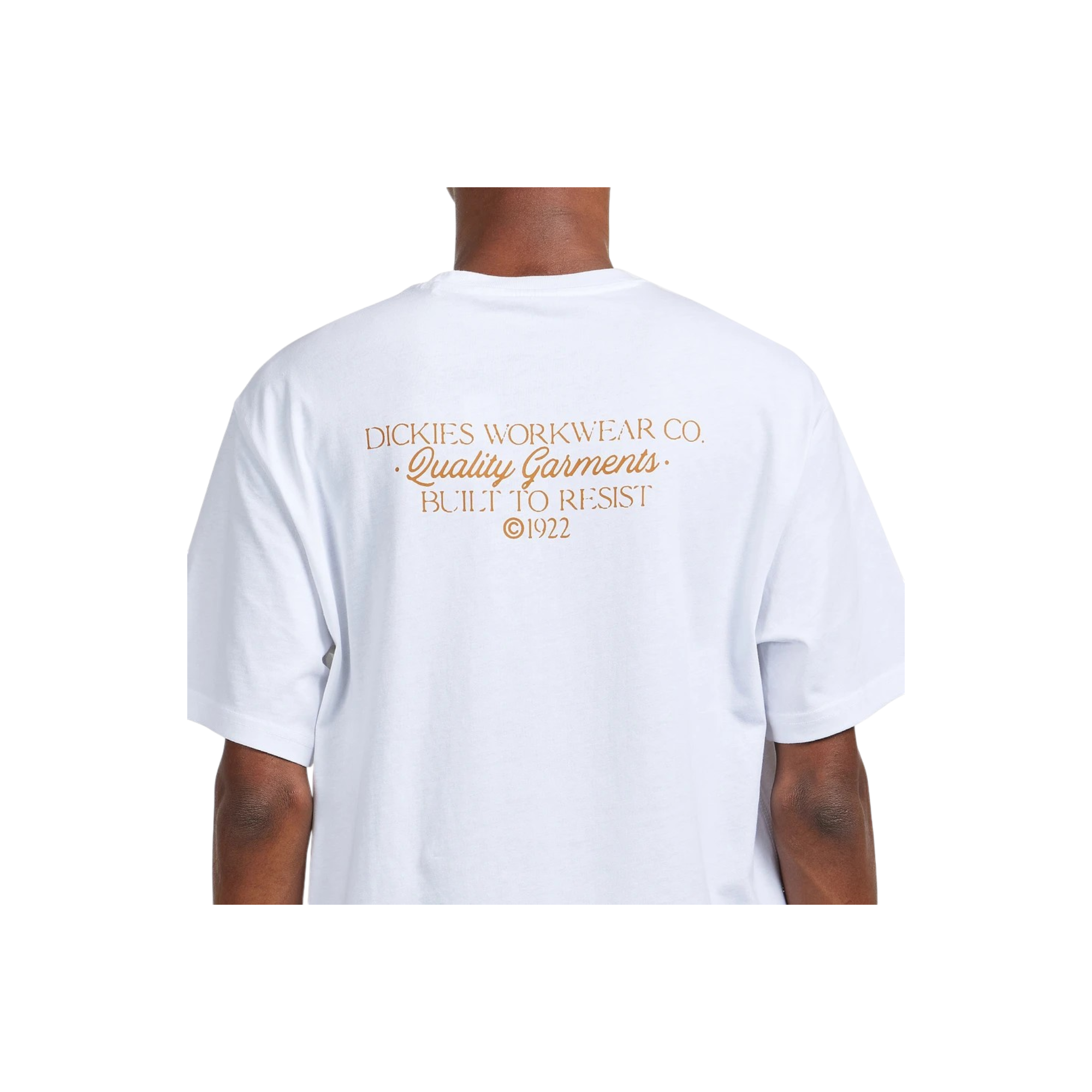 Camiseta Dickies Globe Tee 2 Camiseta Dickies Globe Tee - Imagen 2
