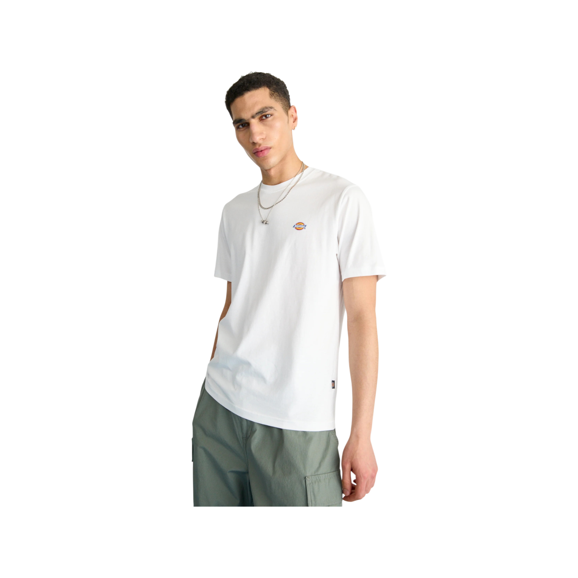 Camiseta Dickies Ss Mapleton Tee 12 Camiseta Dickies Ss Mapleton Tee - Imagen 12