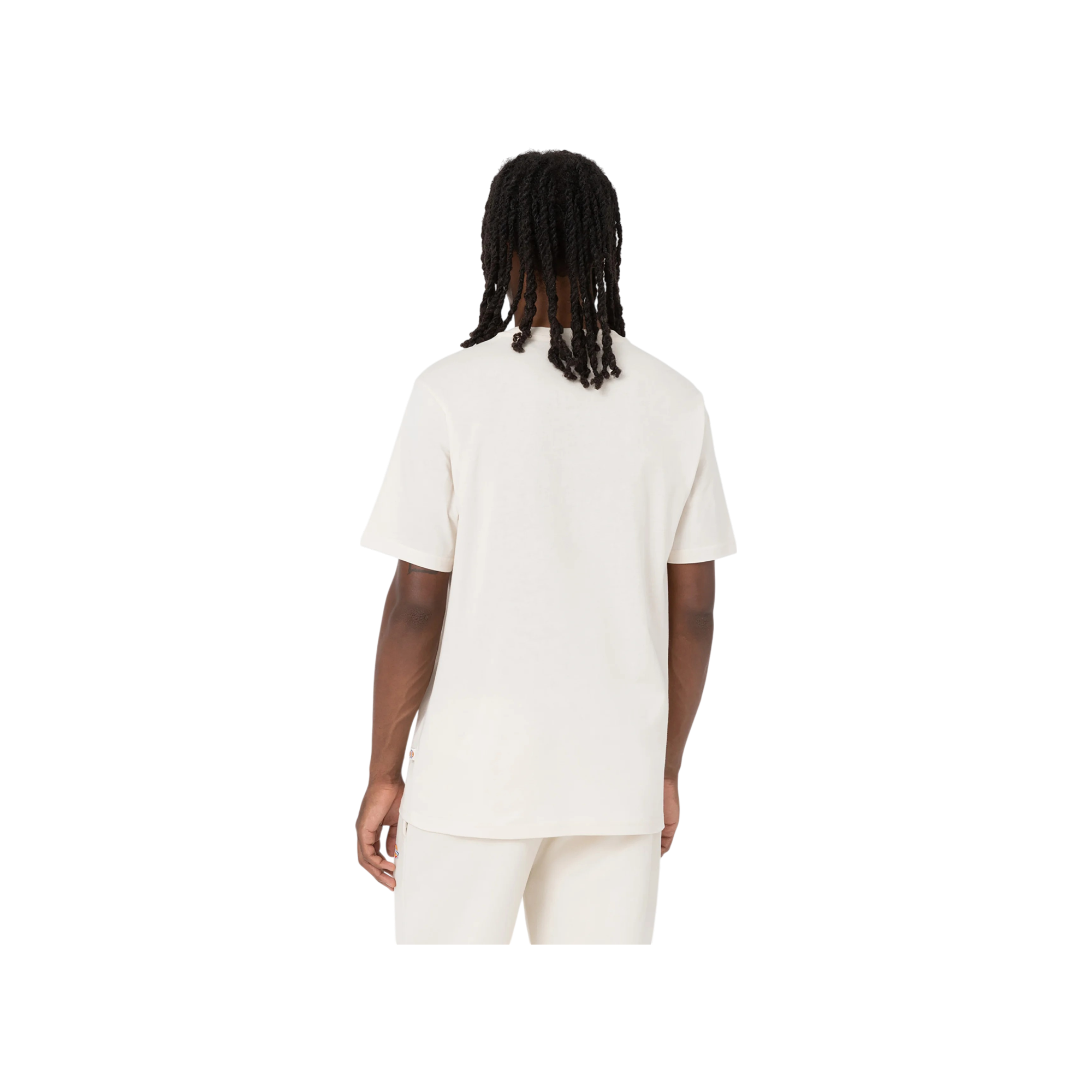 Camiseta Dickies Ss Mapleton Tee 16 Camiseta Dickies Ss Mapleton Tee - Imagen 16
