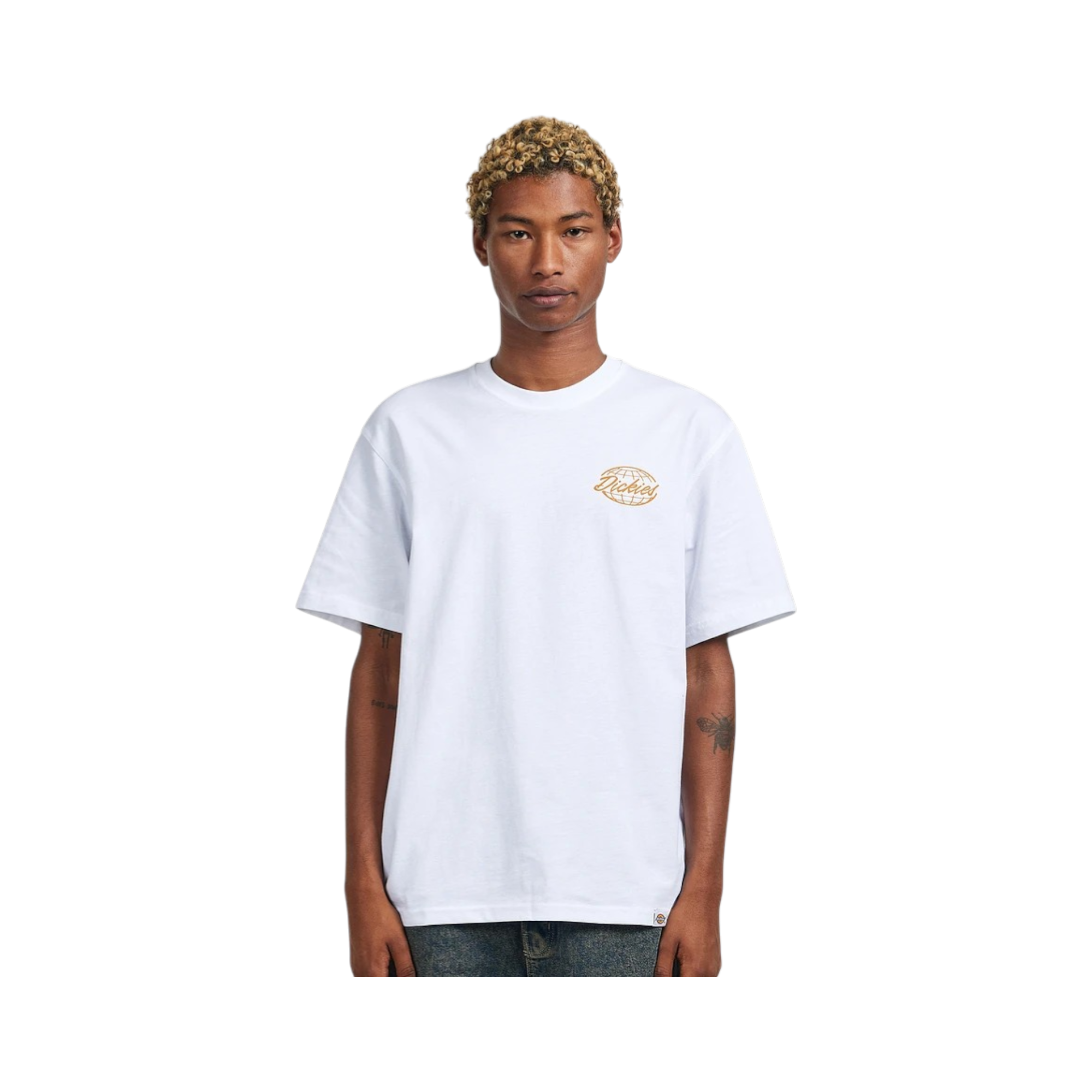 Camiseta Dickies Globe Tee 3 Camiseta Dickies Globe Tee - Imagen 3