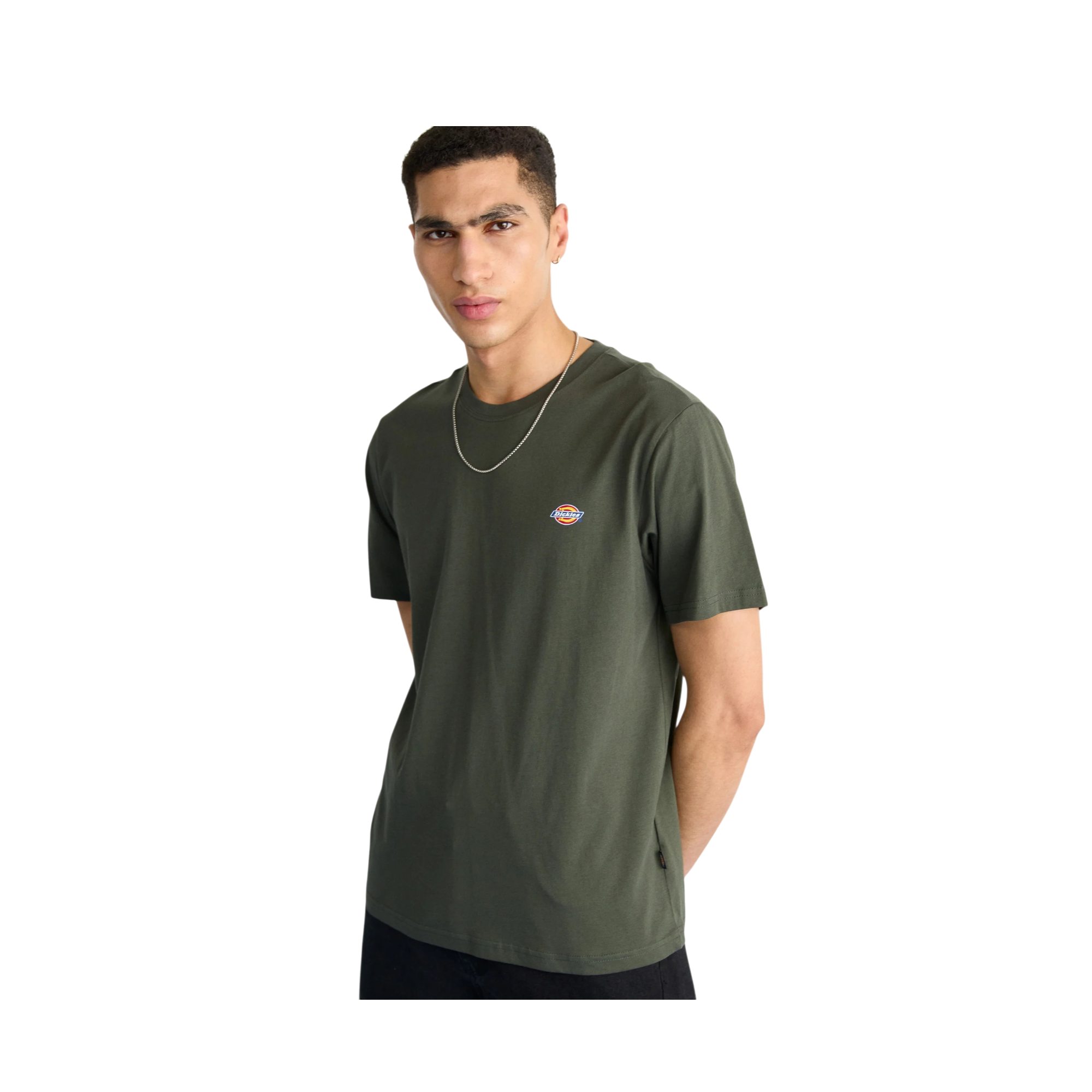 Camiseta Dickies Ss Mapleton Tee 4 Camiseta Dickies Ss Mapleton Tee - Imagen 4