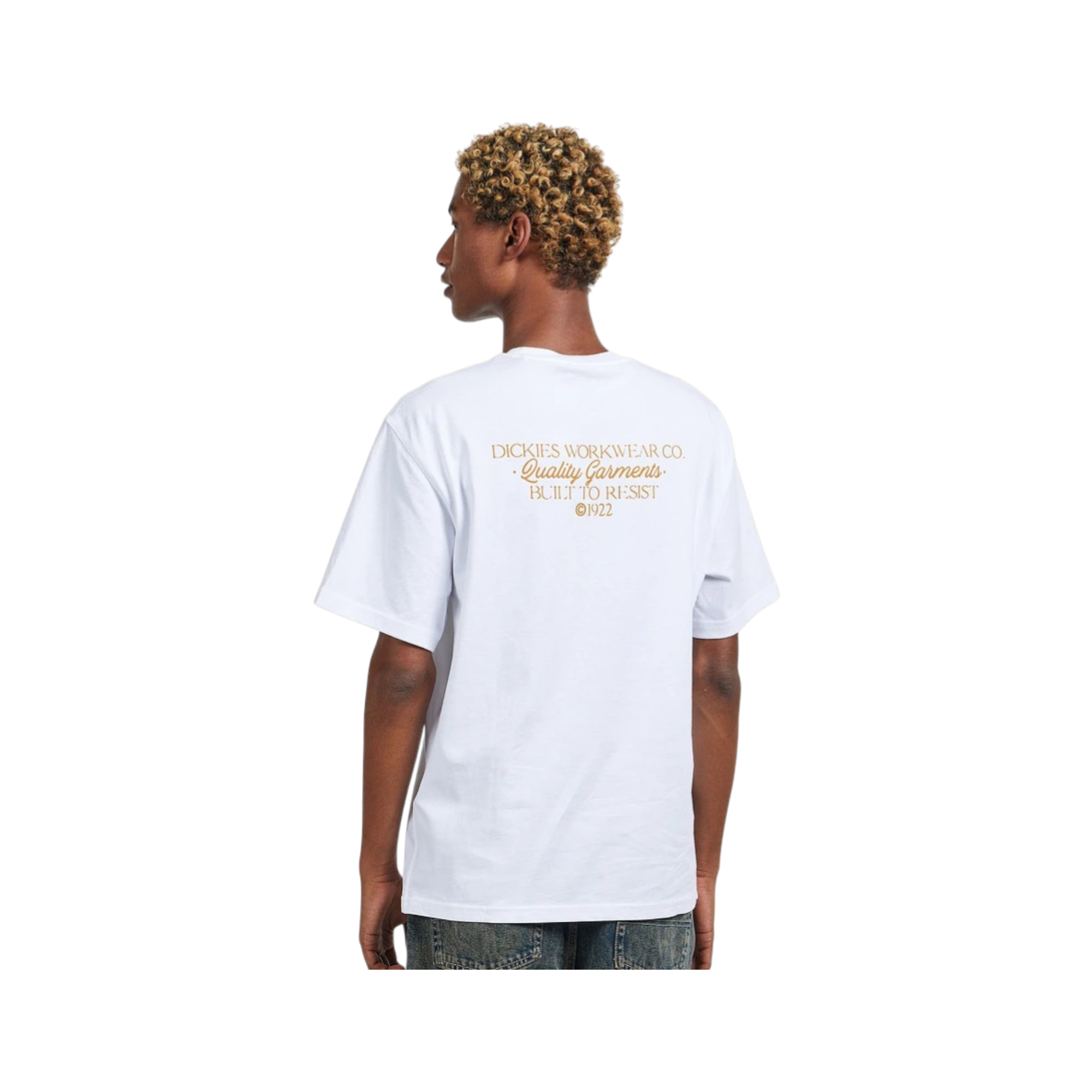 Camiseta Dickies Globe Tee 4 Camiseta Dickies Globe Tee - Imagen 4