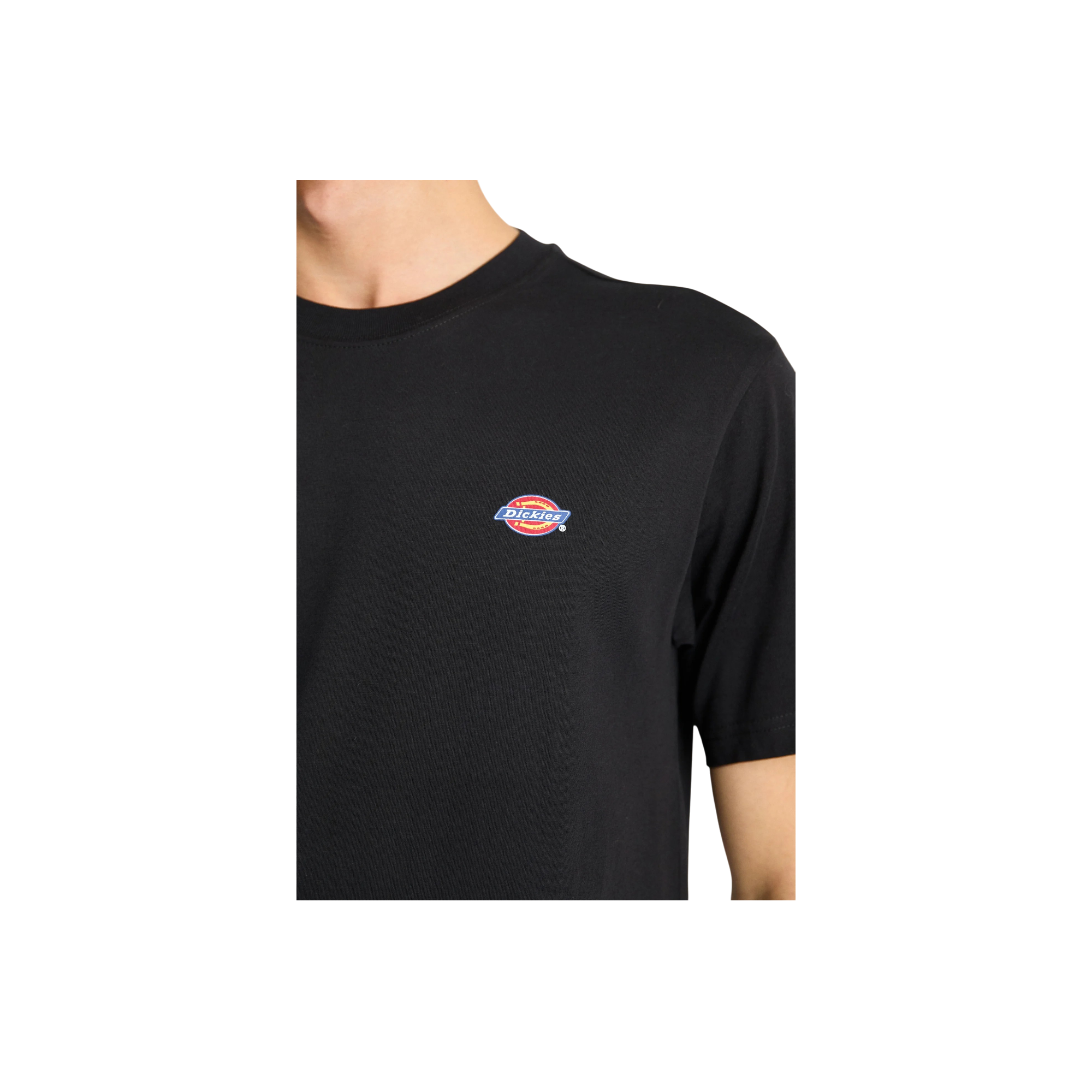 Camiseta Dickies Ss Mapleton Tee 7 Camiseta Dickies Ss Mapleton Tee - Imagen 7