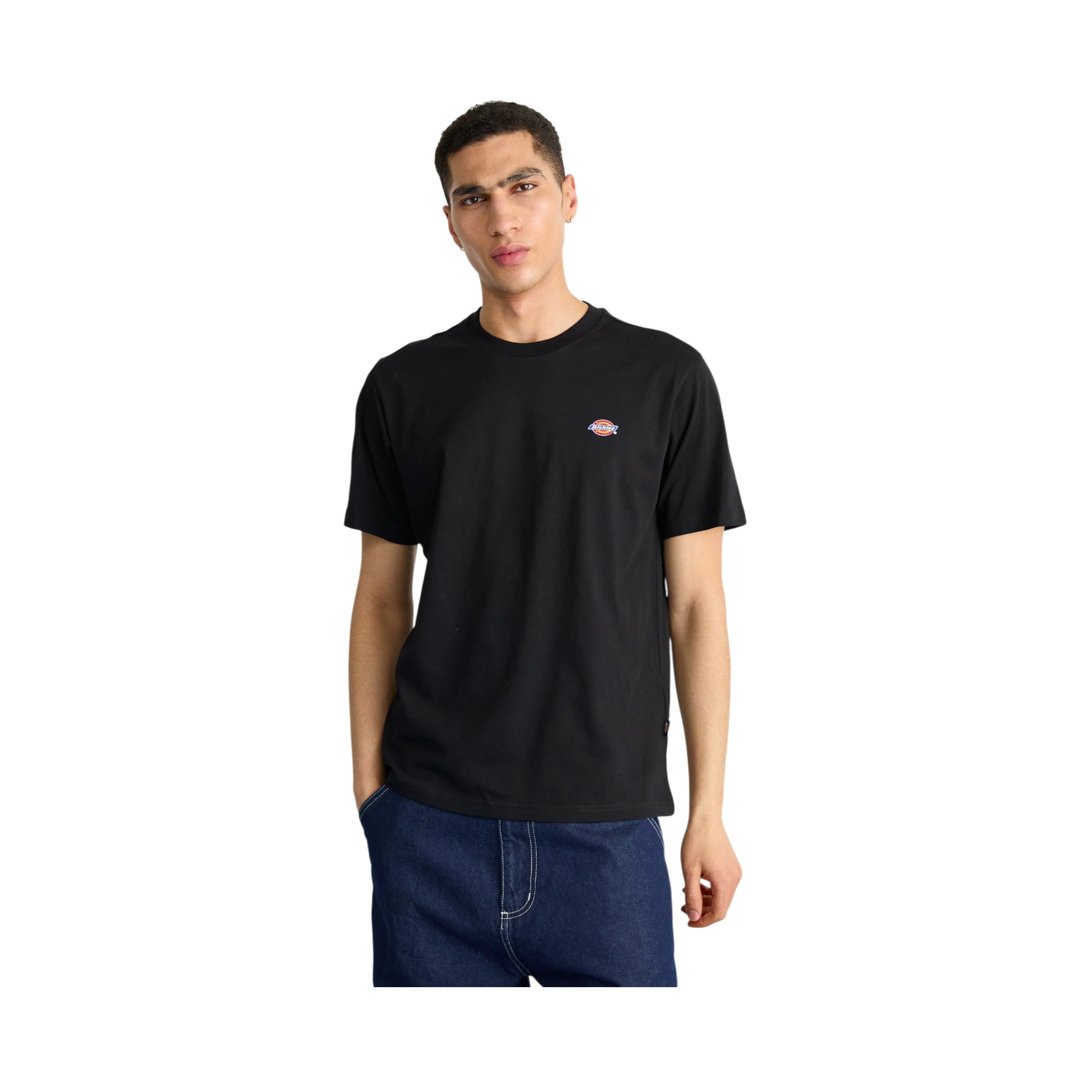 Camiseta Dickies Ss Mapleton Tee 8 Camiseta Dickies Ss Mapleton Tee - Imagen 8