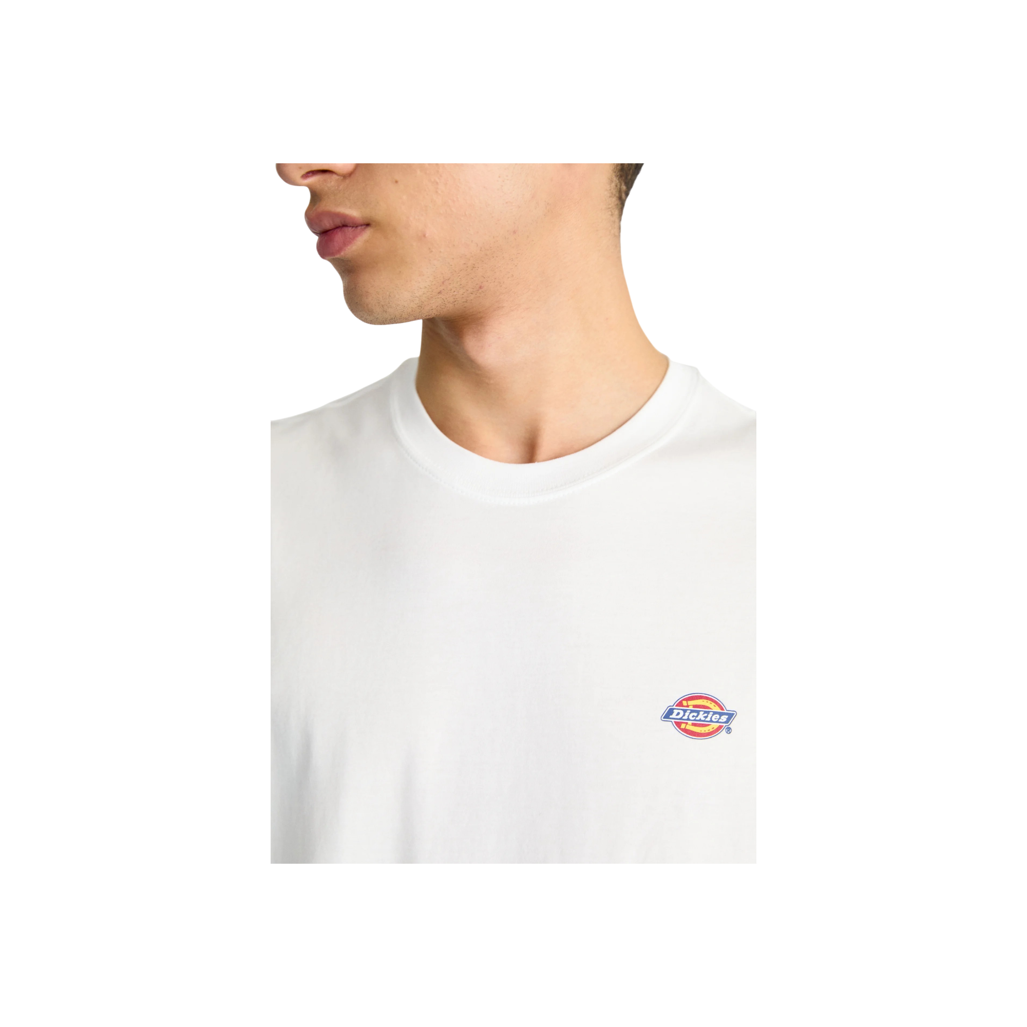 Camiseta Dickies Ss Mapleton Tee 11 Camiseta Dickies Ss Mapleton Tee - Imagen 11
